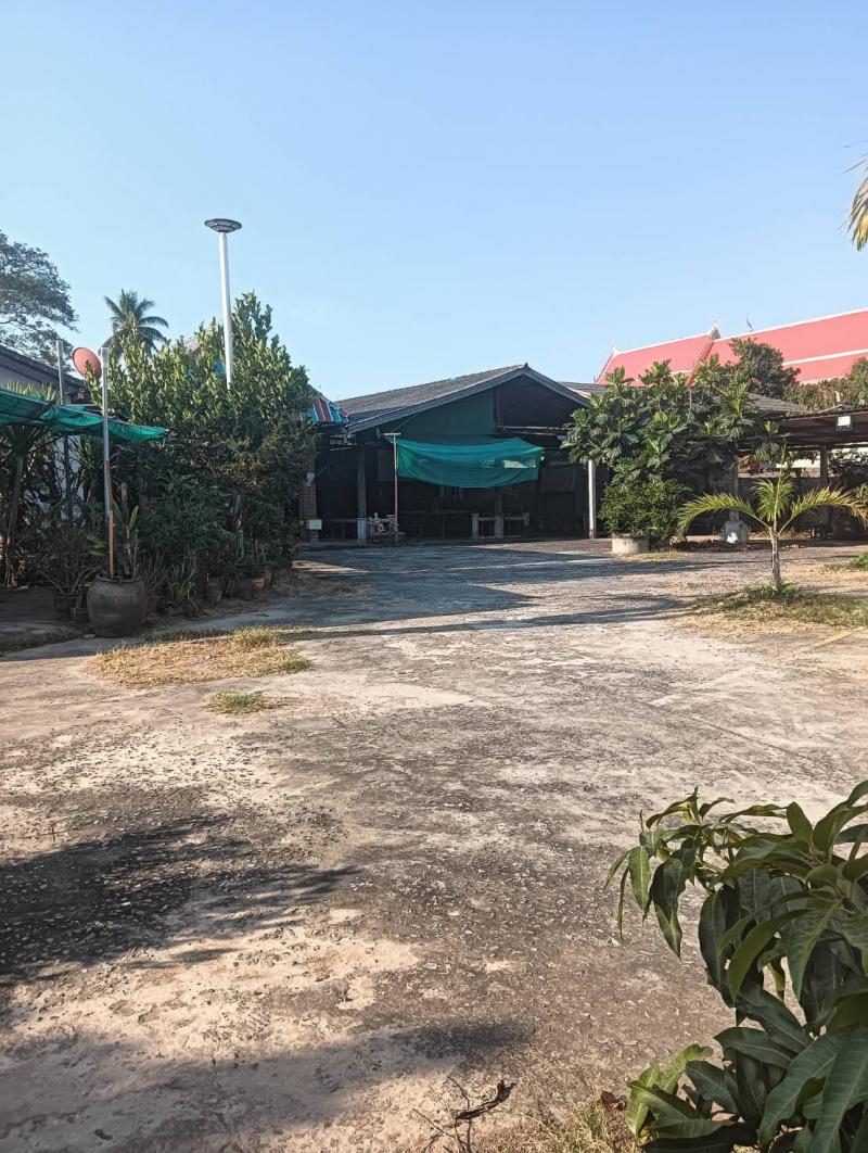ที่ดิน 25000 กาฬสินธุ์ เมืองกาฬสินธุ์ กาฬสินธุ์ ที่ดิน 25000 กาฬสินธุ์ เมืองกาฬสินธุ์ กาฬสินธุ์