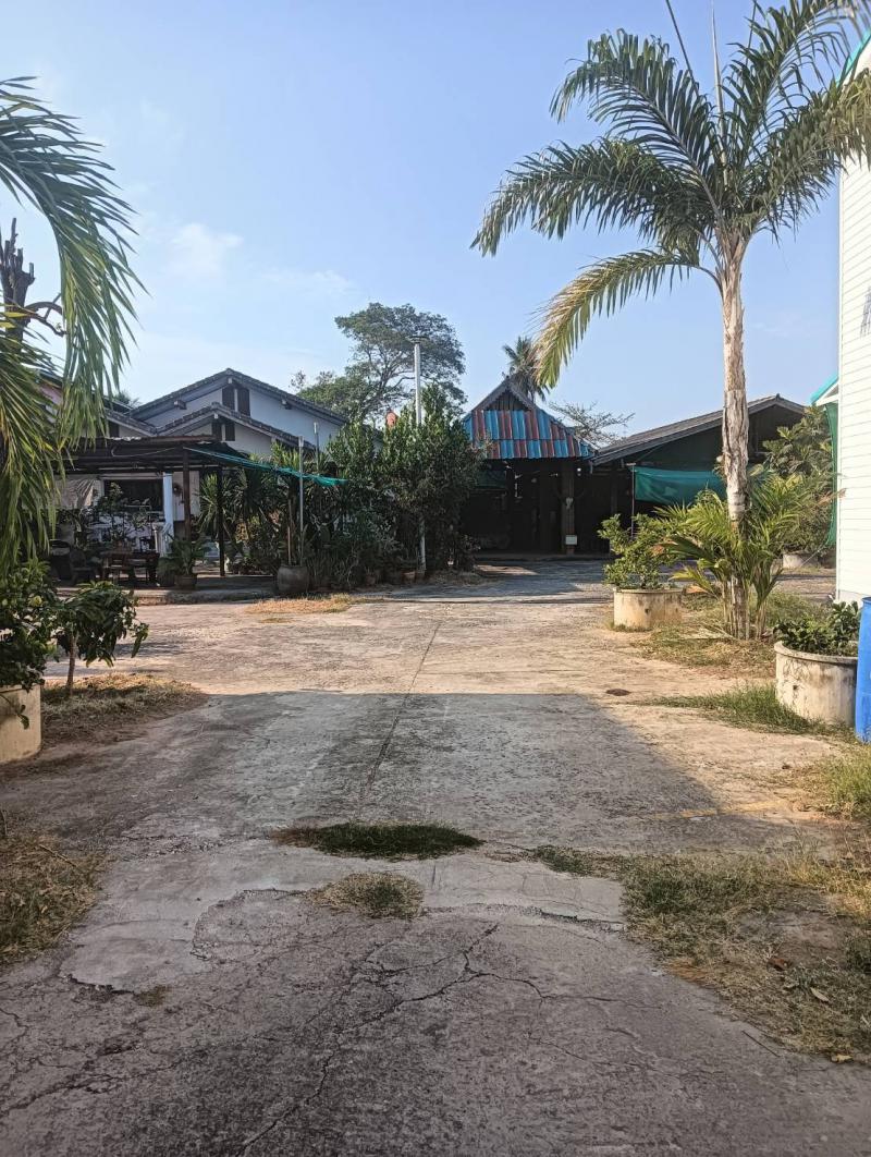 ที่ดิน 25000 กาฬสินธุ์ เมืองกาฬสินธุ์ กาฬสินธุ์ ที่ดิน 25000 กาฬสินธุ์ เมืองกาฬสินธุ์ กาฬสินธุ์