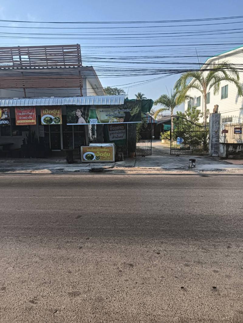 ที่ดิน 25000 กาฬสินธุ์ เมืองกาฬสินธุ์ กาฬสินธุ์ ที่ดิน 25000 กาฬสินธุ์ เมืองกาฬสินธุ์ กาฬสินธุ์